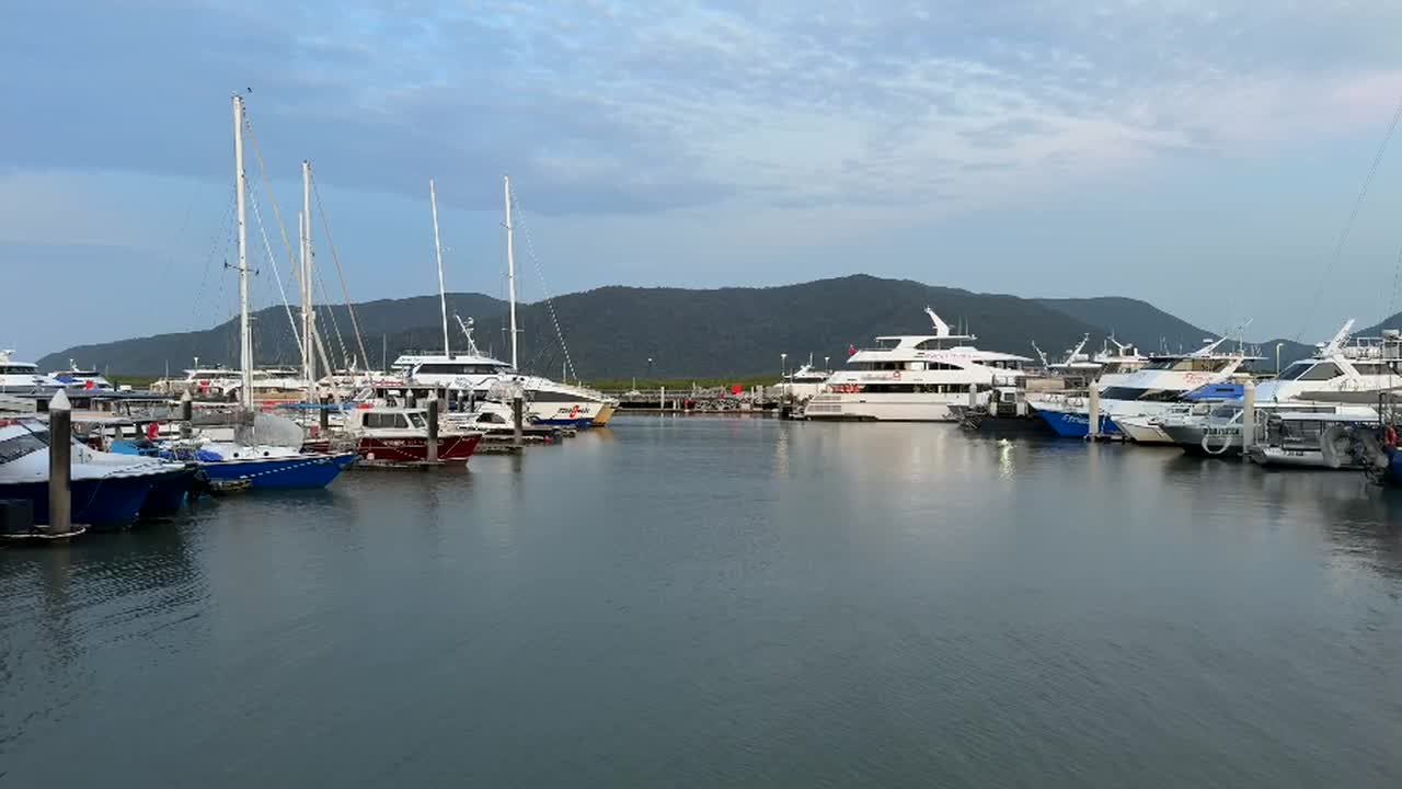 Marina at dusk