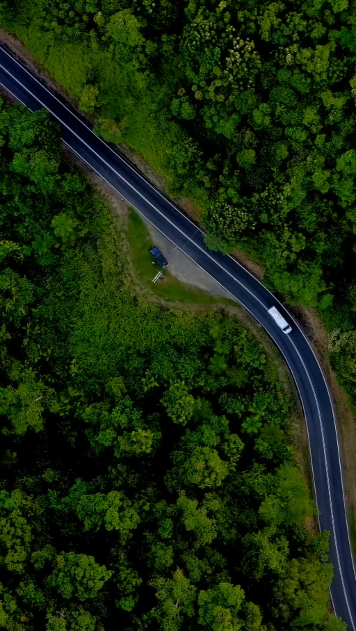 A winding forest road from above
